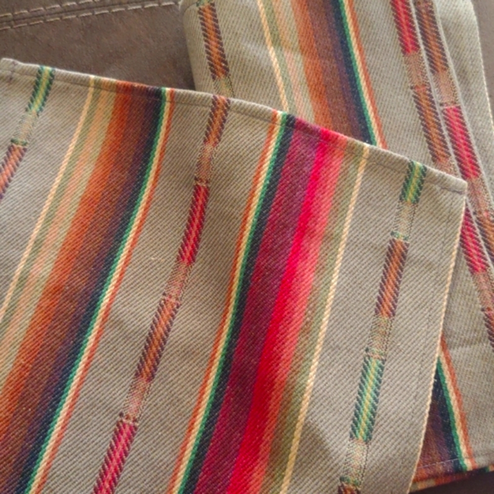 4 Western serape print cloth napkins